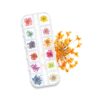 15276 Παλέτα Dry Flower Nail Art
