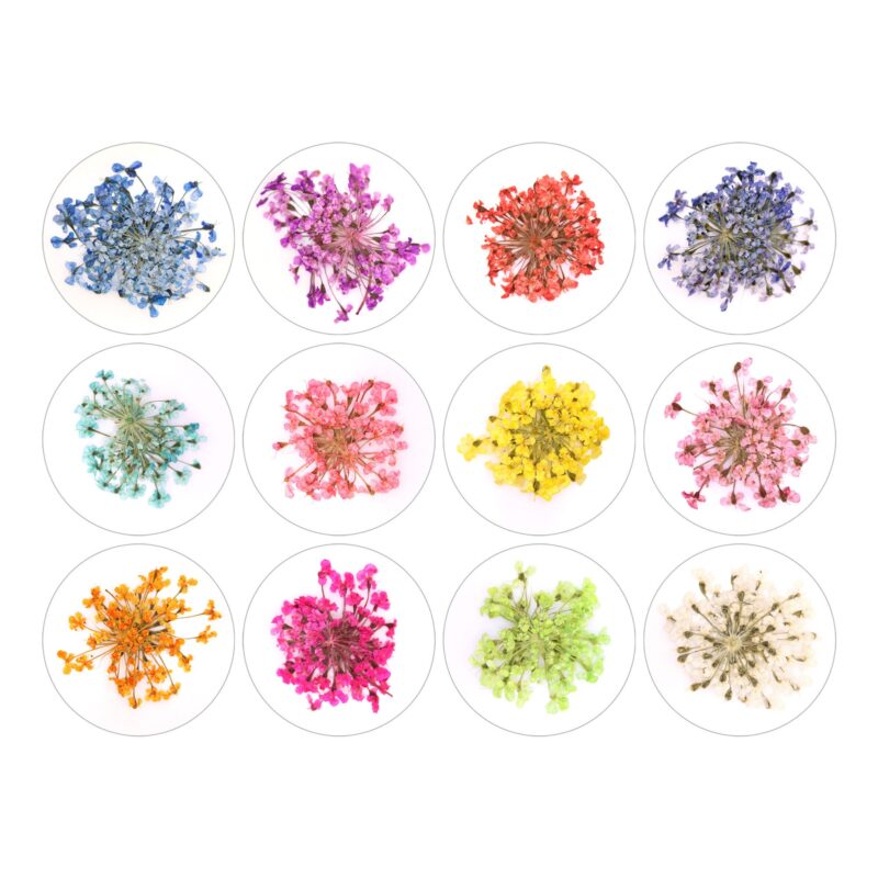 15277 Παλέτα Dry Flower Nail Art