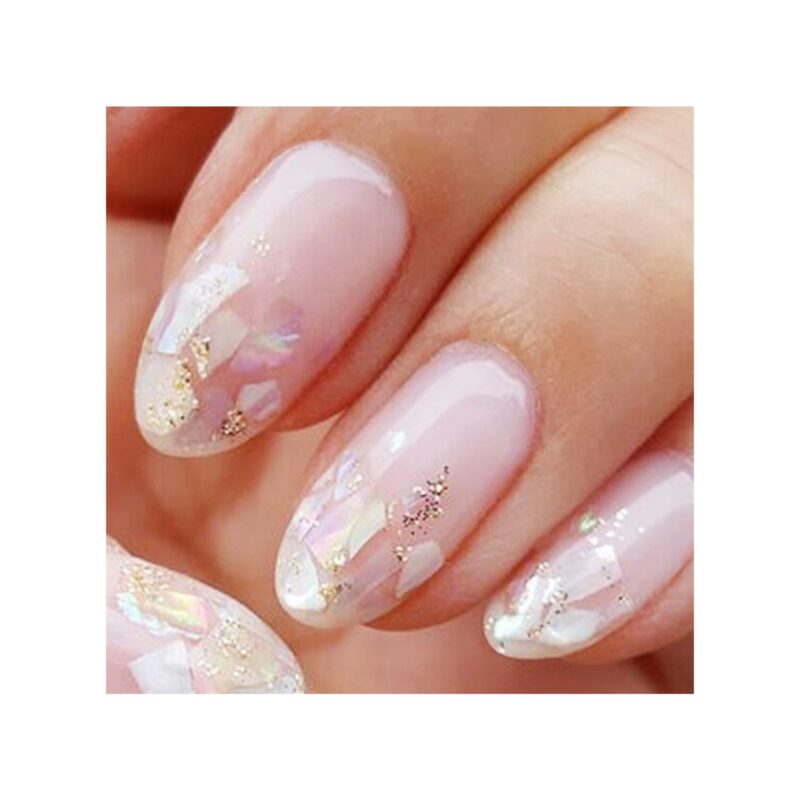 15281 Παλέτα Shell Decoration Nail Art