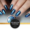 19049 Chameleon Powder No.02