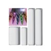 20900 Mini Magnet 4pcs