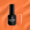 laloo-collections-glow-club (1) Laloo Collections Glow Club